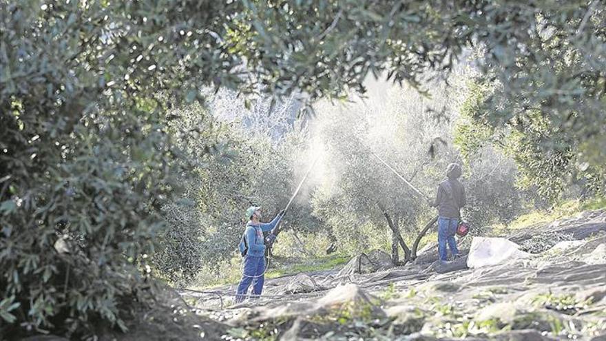 Suben un 9% los dueños de más de medio centenar de fincas rústicas