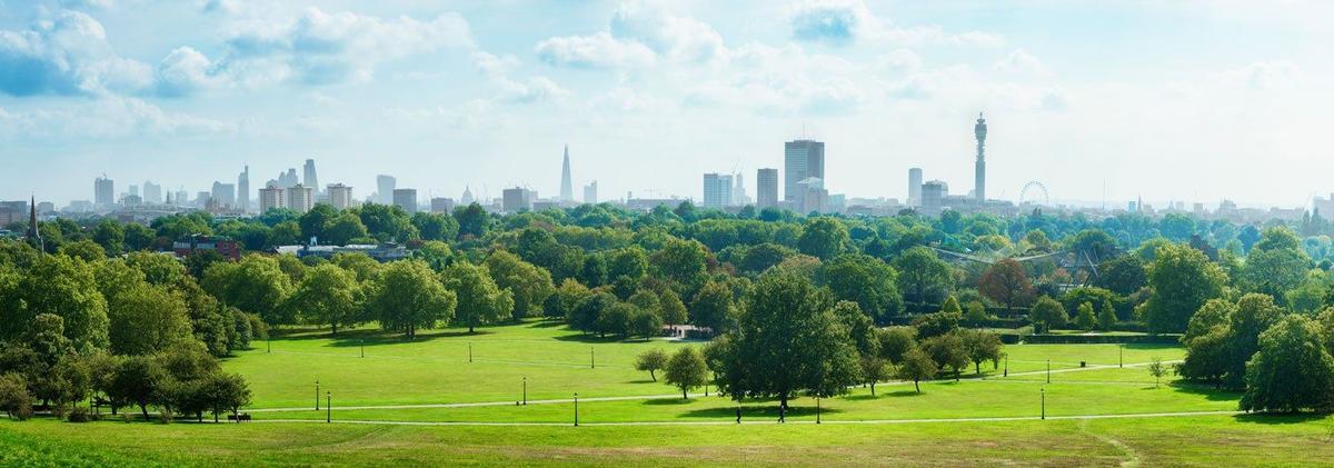 Primrose Hill, Londres