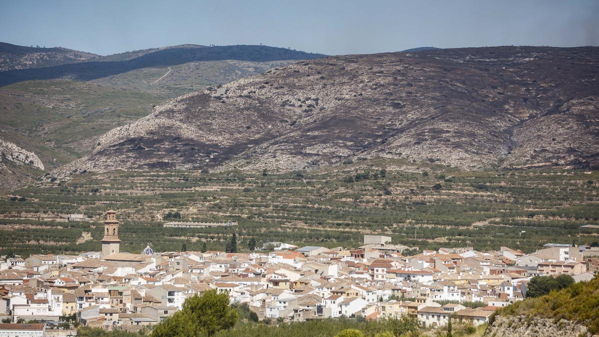 Zona calcinada del incendio forestal que va desde Alcublas hasta las poblaciones de Bejis, Teresa, Toras y Altura en la comarca del Alto Palancia (Castellón)