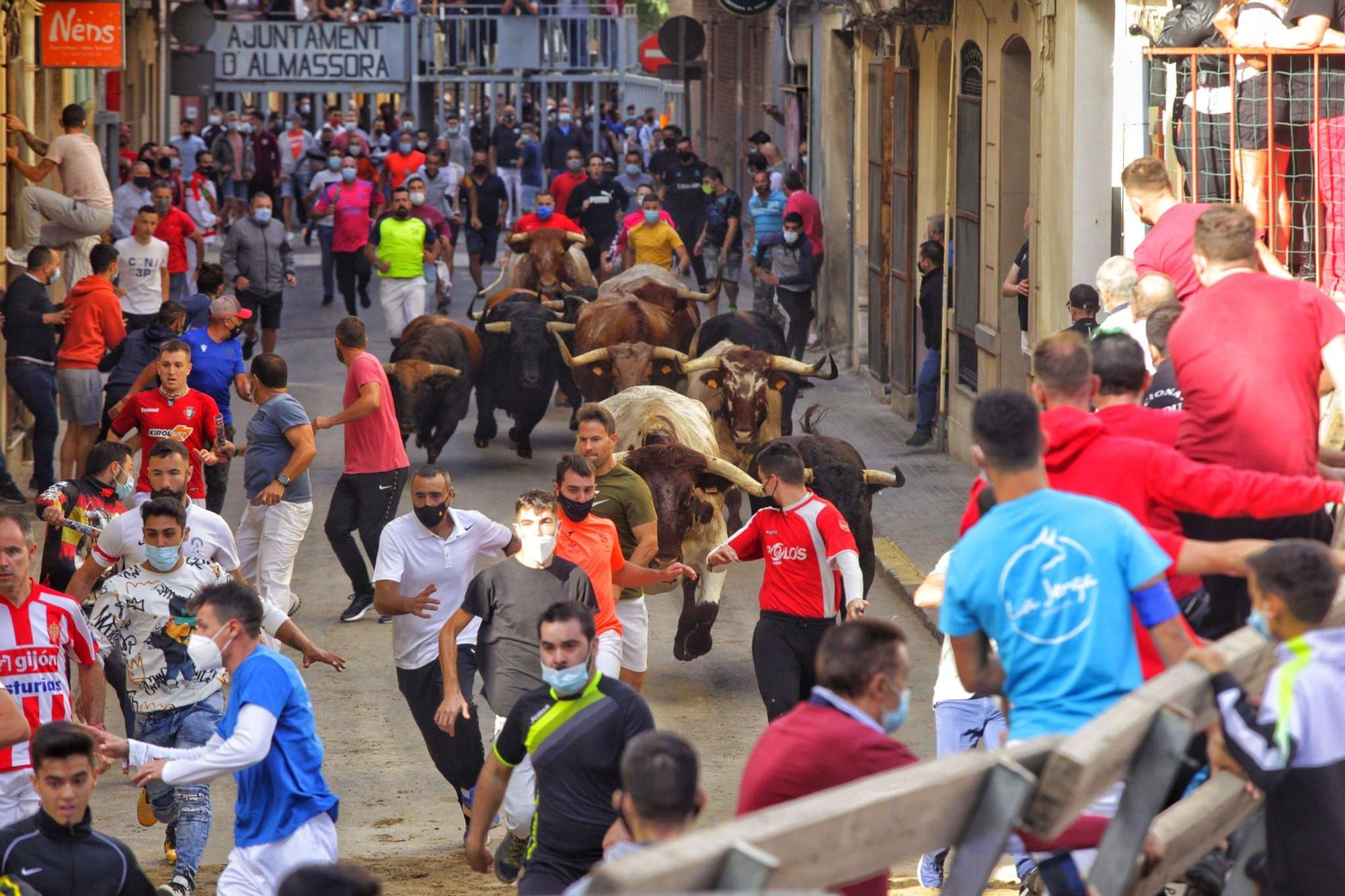 Bous al carrer | Las mejores imágenes del encierro de Almassora