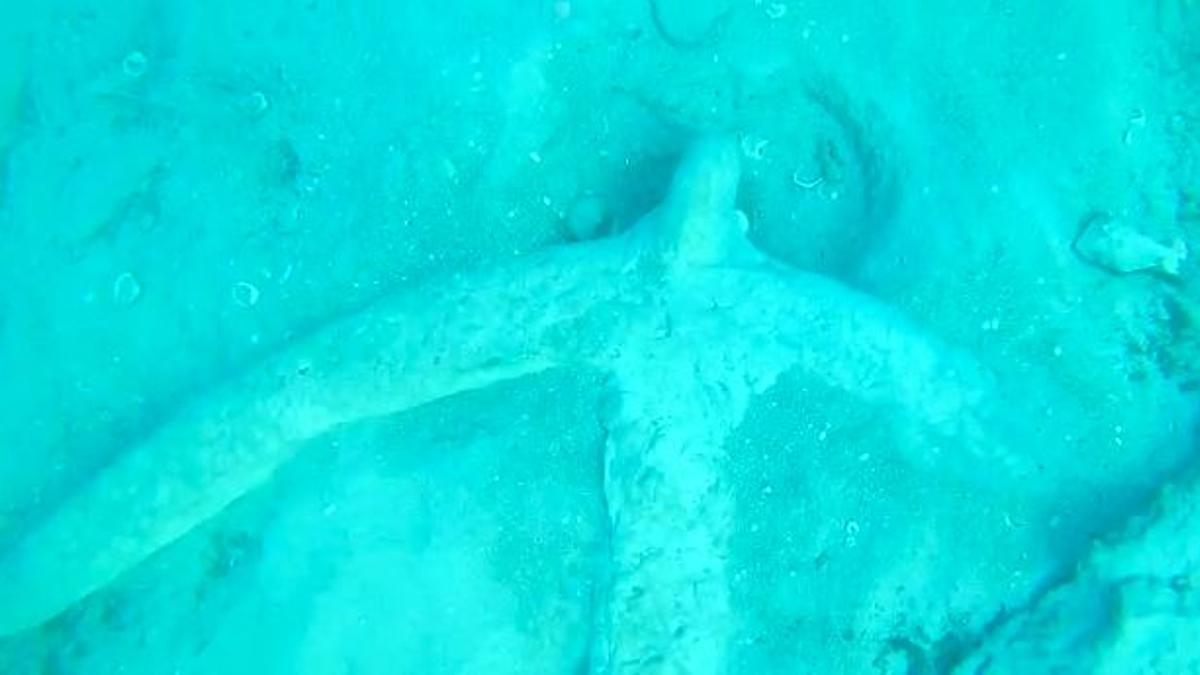 «Cuesta creer que haya un ancla romana donde se bañan un millón de turistas»