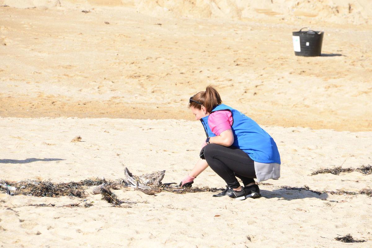 La limpieza de la playa de Area de Bon, en Bueu, en imágenes (I)