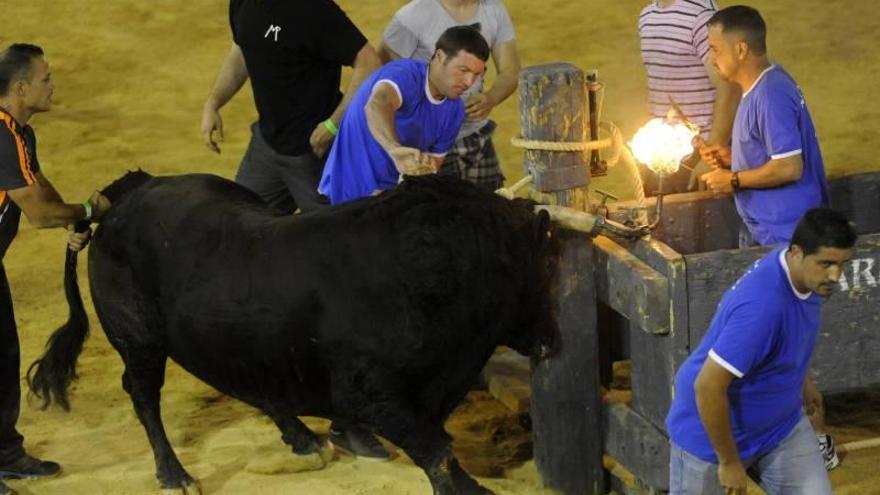 La Junta de Gobierno de Valencia prohíbe el bou embolat desde el 1 de julio