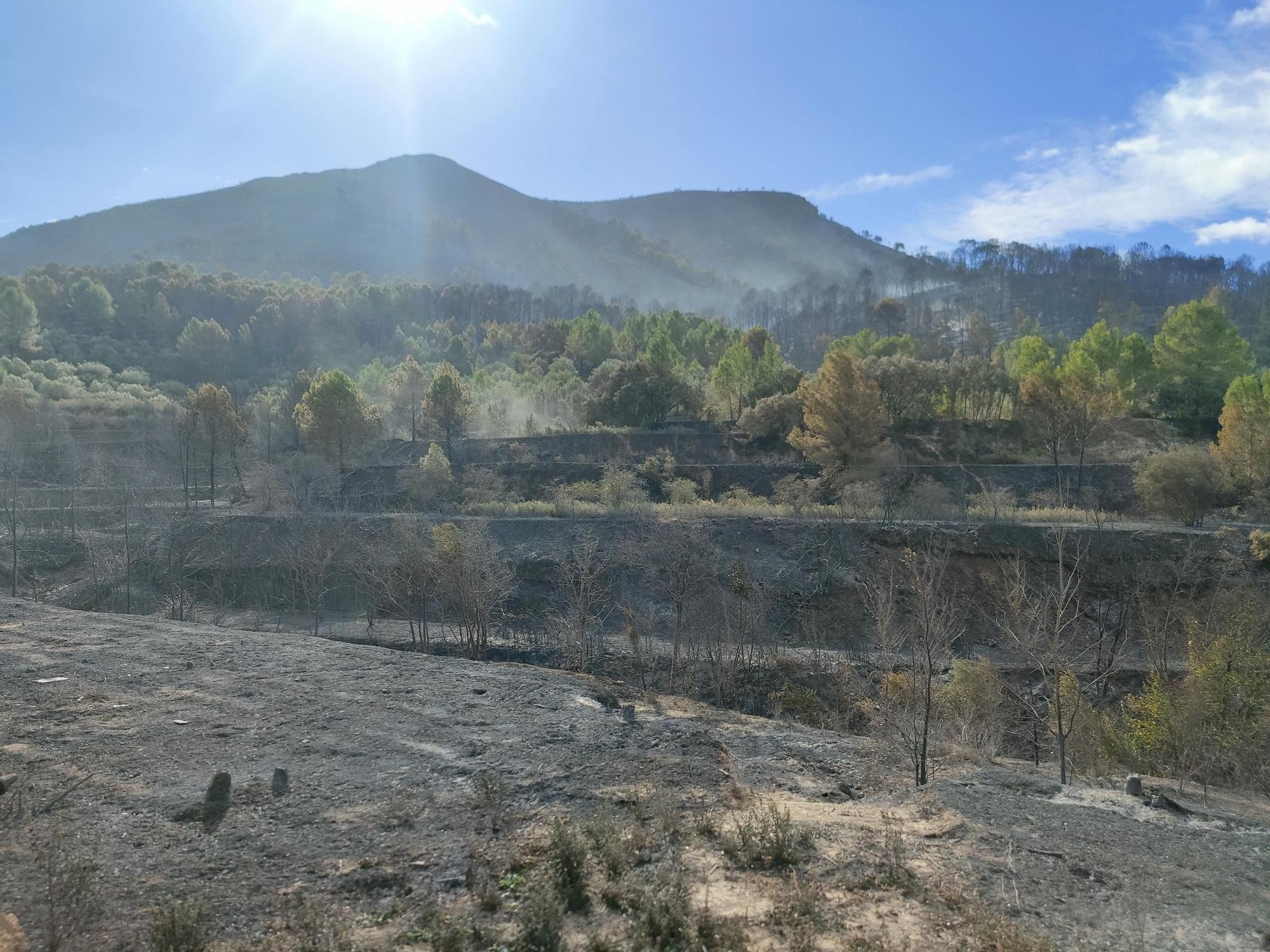 El incendio forestal arrasa con la sierra natural de Terrateig