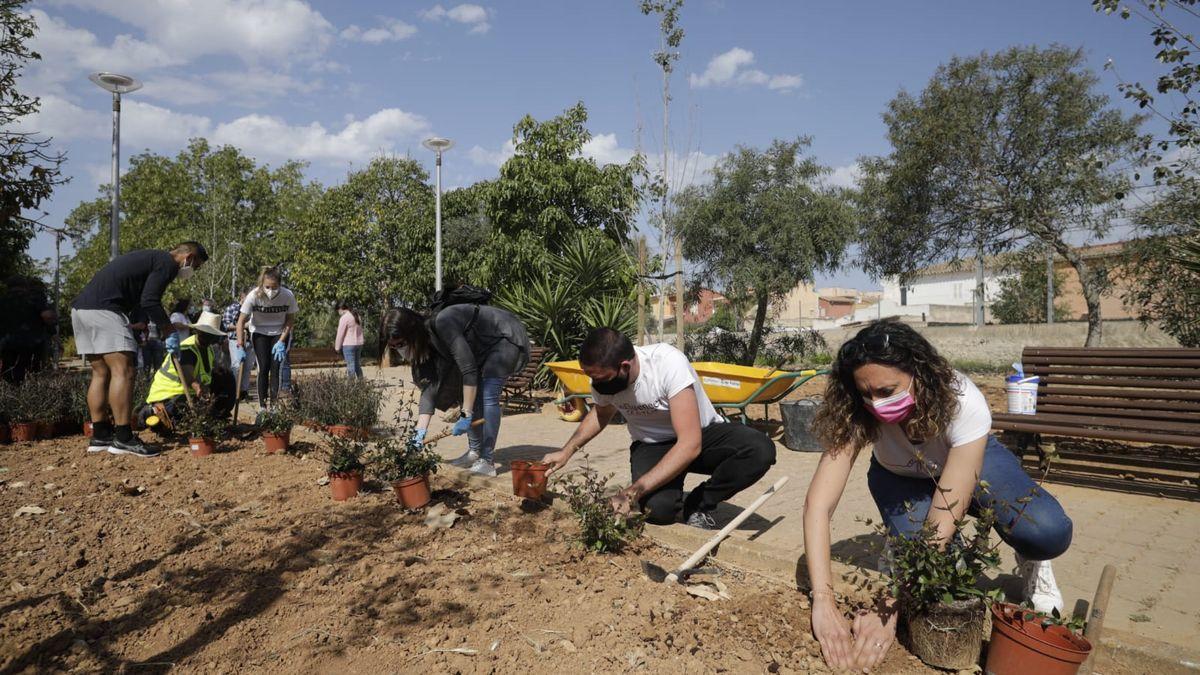Unas 50 personas celebran el Día de Europa sembrando más de 200 plantas arbustivas en Son Fuster Nou