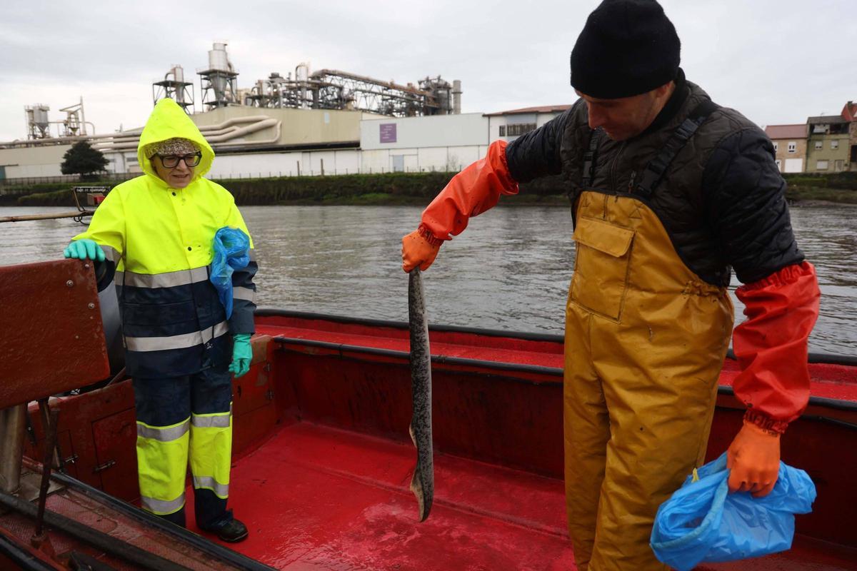 Pepe Barreiro sostiene una lamprea.