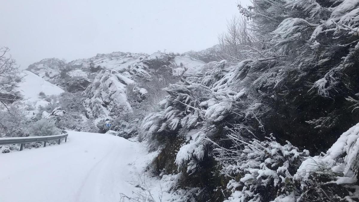 GALERÍA | Nieve a espuertas en la carretera de Pías y Porto