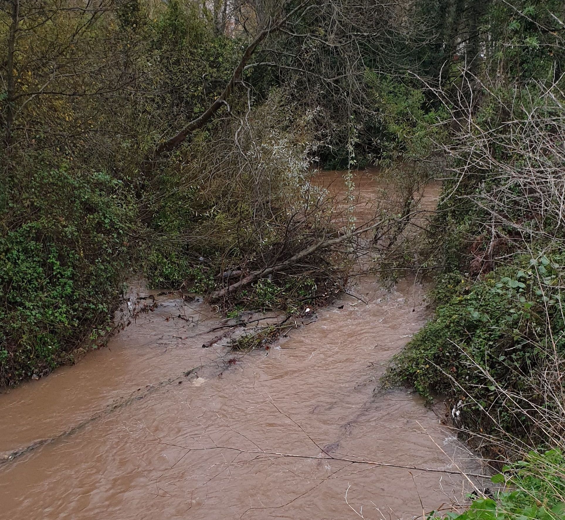 Parque fluvial de Viesques, anegado por las lluvias (3).jpg