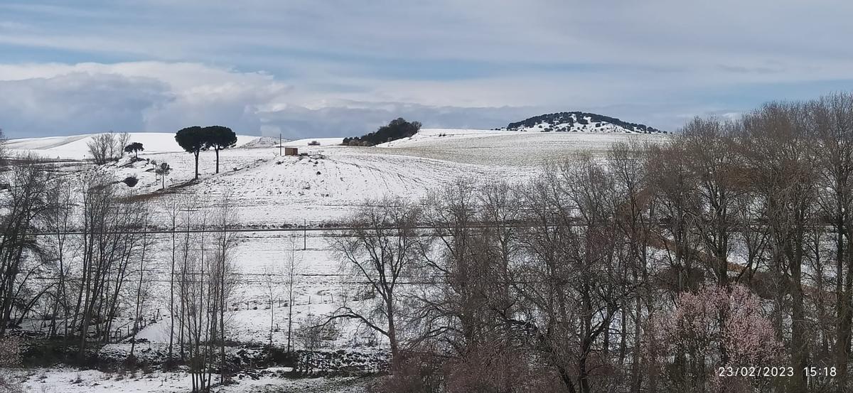 Nieve en El Piñero