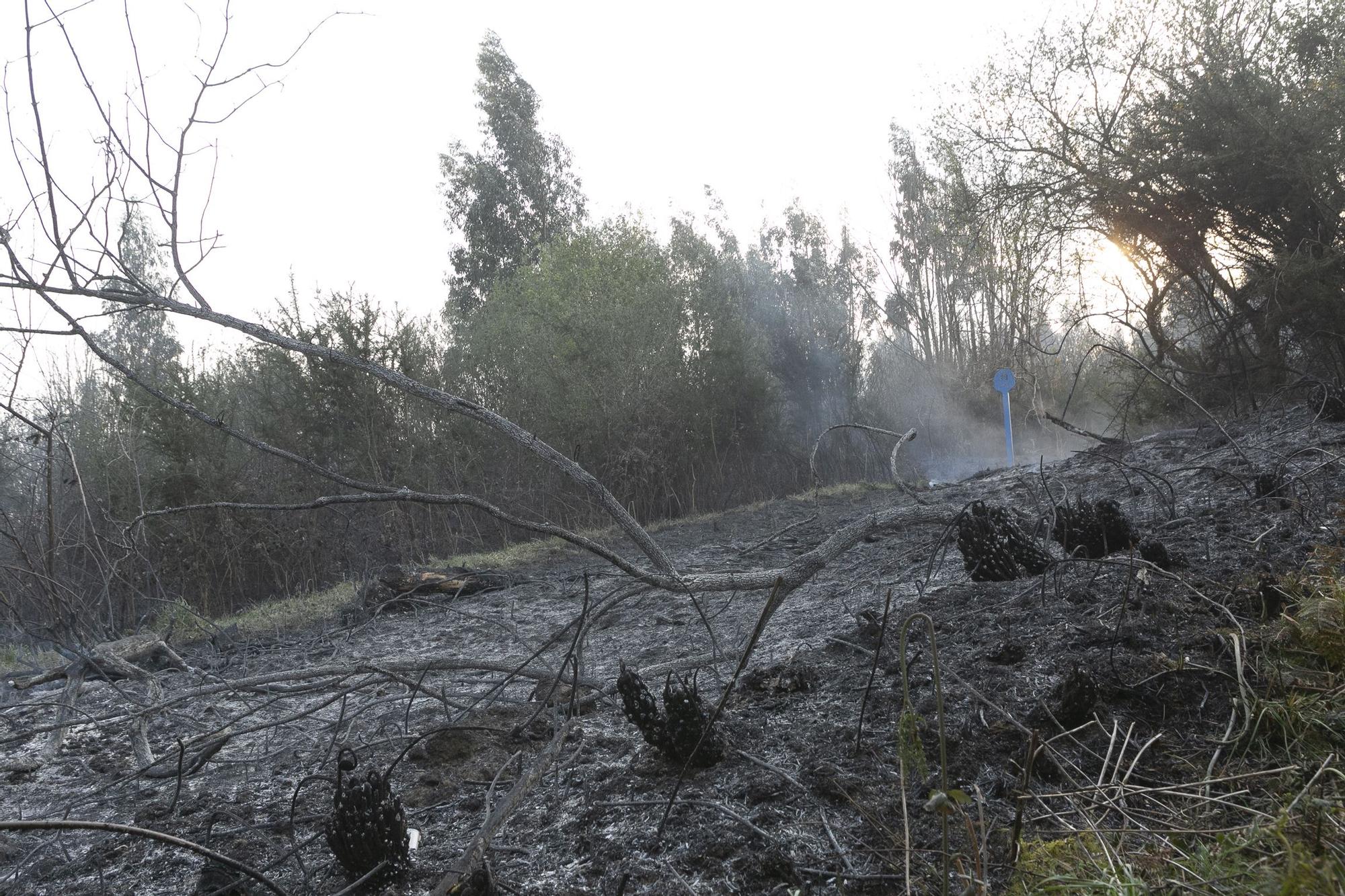 EN IMÁGENES: la extinción del fuego de La Plata (Castrillón), minuto a minuto