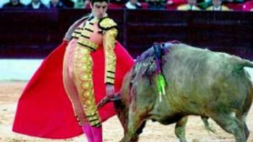 El PP pedirá que los toros sean Bien de Interés Cultural y el PSOE lo descarta