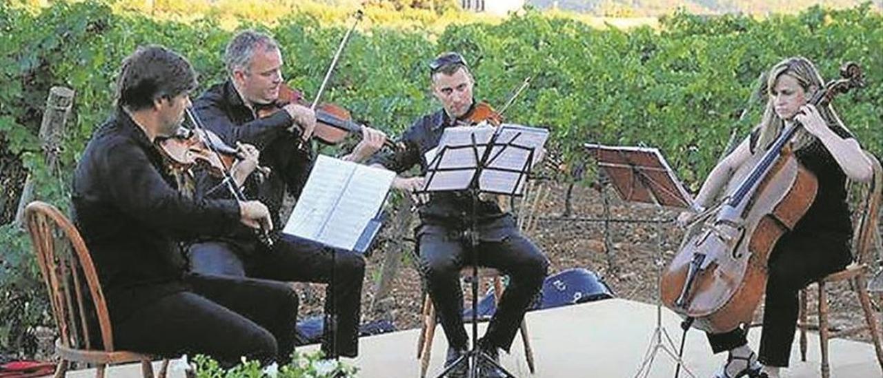 Imagen de archivo de varios intérpretes de violín de un cuarteto, en un concierto reciente.