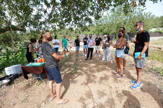 Taller de fermentación en Ibiza