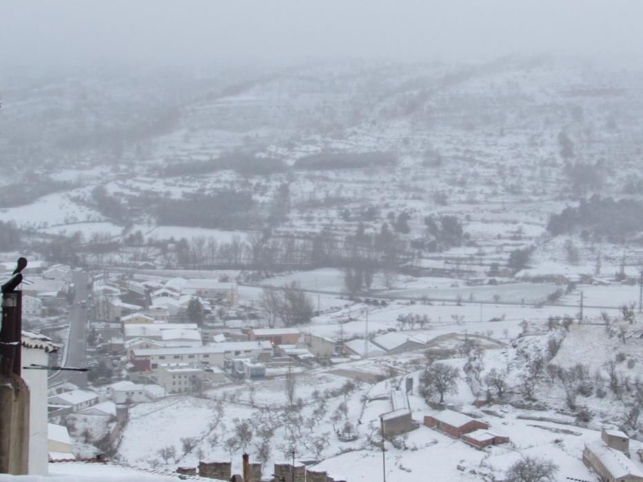 Imágenes de Morella nevada.