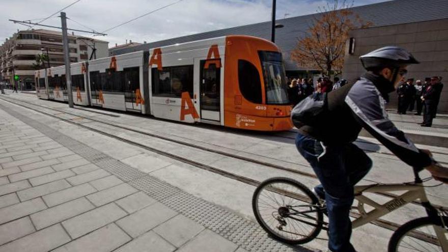 Un ciclista pasa junto a una unidad del tranvía, el proyecto estrella de la Conselleria de Infraestructuras esta legislatura.