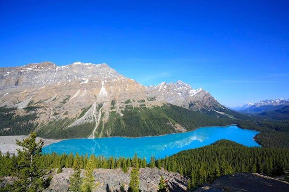 Lago Peyto, en el Parque Nacional de Banff (Canadá).