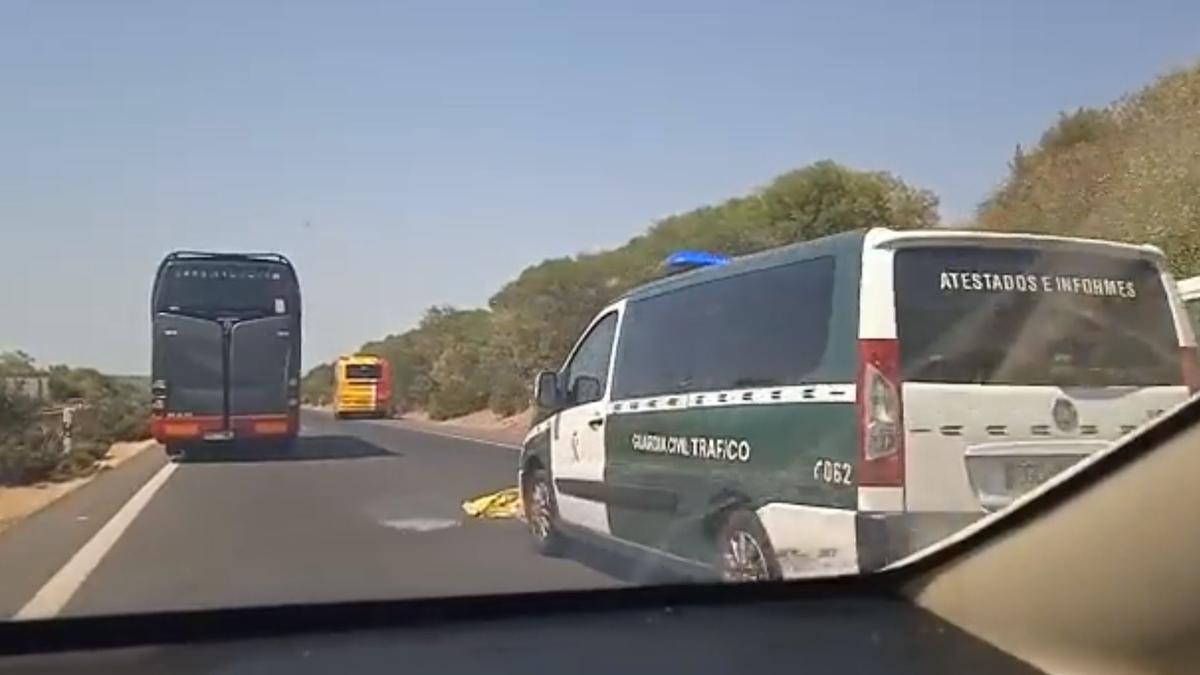 Una mujer fallece arrollada por un autobús en la autopista de Inca