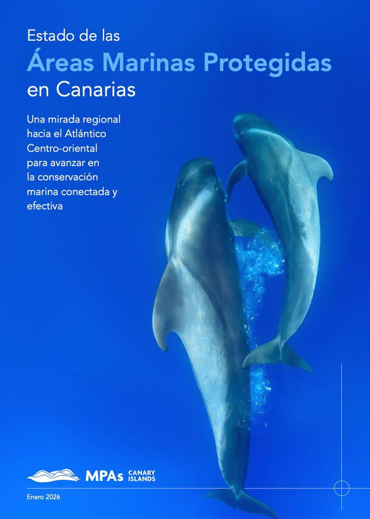 Estado de las áreas Marinas Protegidas en Canarias