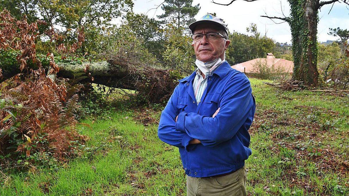 Marcelino Penas, ante un árbol cortado sin retirar y otro seco aún en pie, en Bribes.