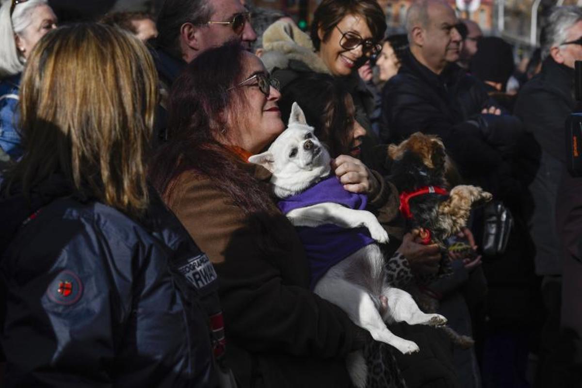 Bendición de animales en Els tres tombs