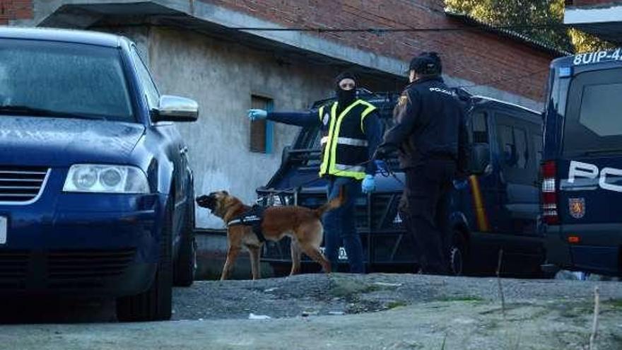 Agentes con perros adiestrados registraron coches y casas. // G.S.