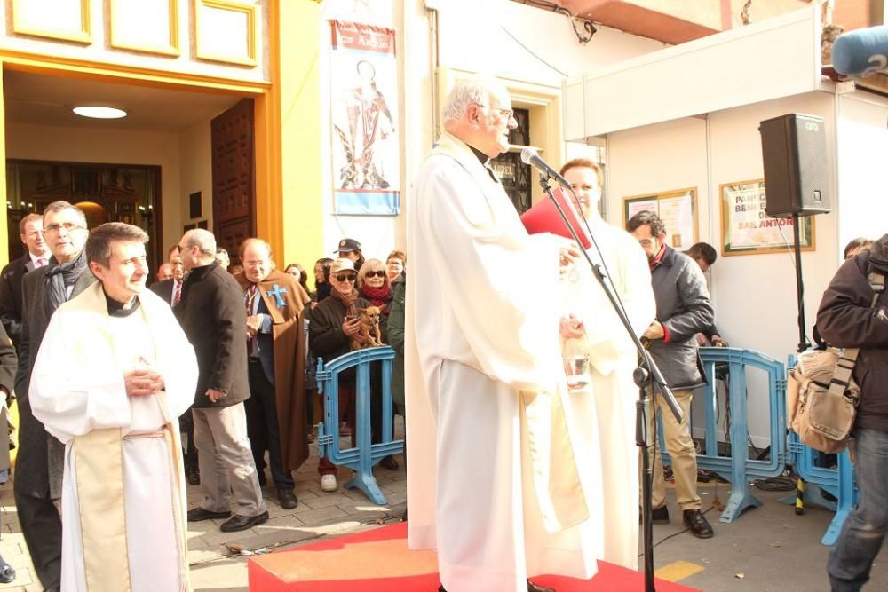 Bendición de San Antón en Murcia