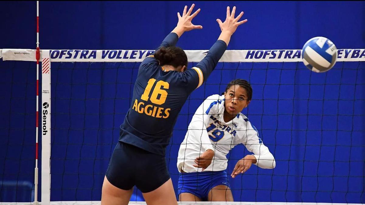 Zyare Abdul Rahim anota un punto con la Hofstra University Athletics.