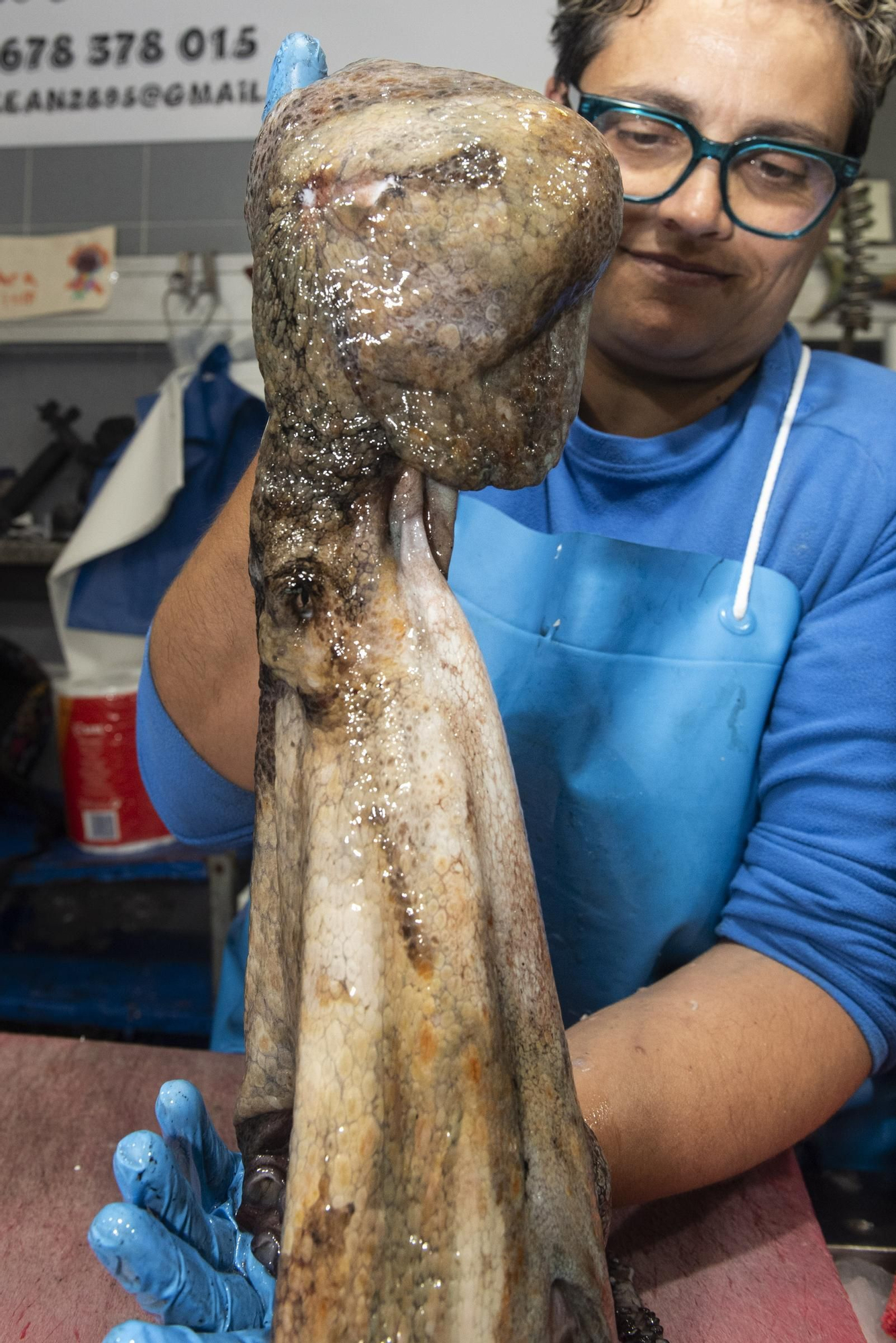 El pulpo gallego vuelve a los mercados de A Coruña tras tres meses de veda