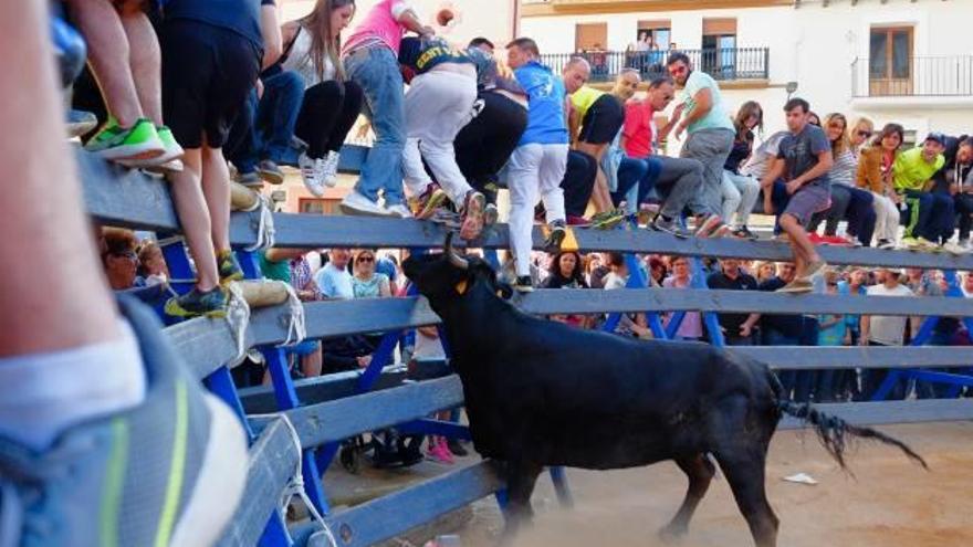 Una de las vaquillas del fin de semana taurino de la Font.