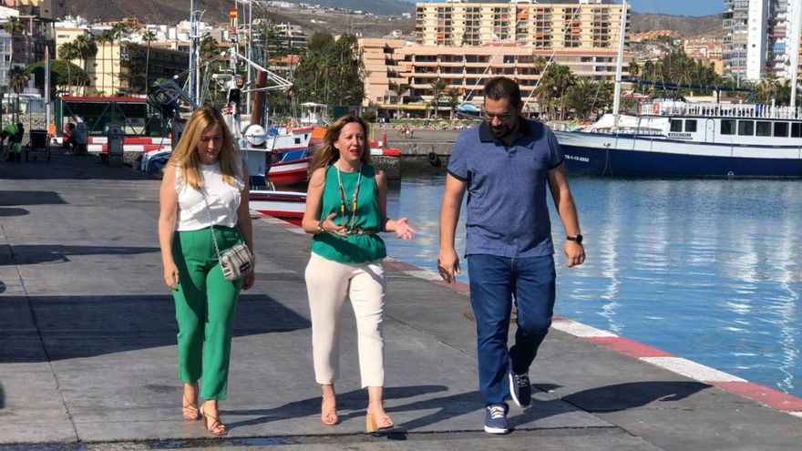 CC criticizes the lack of investment of the Canarian Government in Los Cristianos