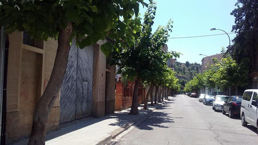 Arbres del carrer Francesc Macià