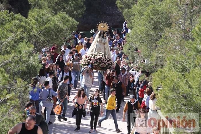 Romería de La Hoya (II)