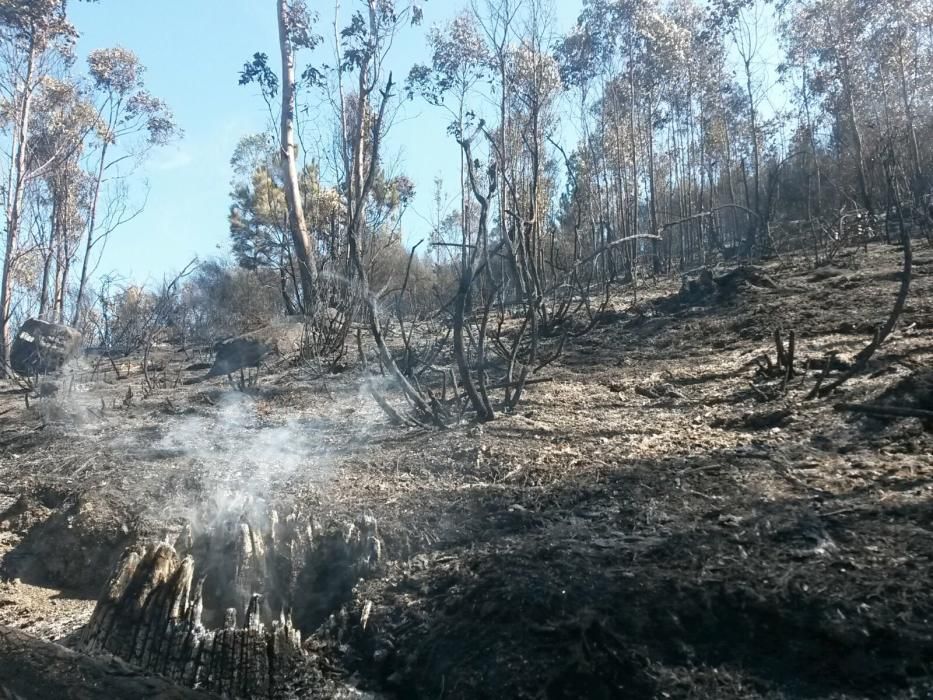 Incendio en Gondomar