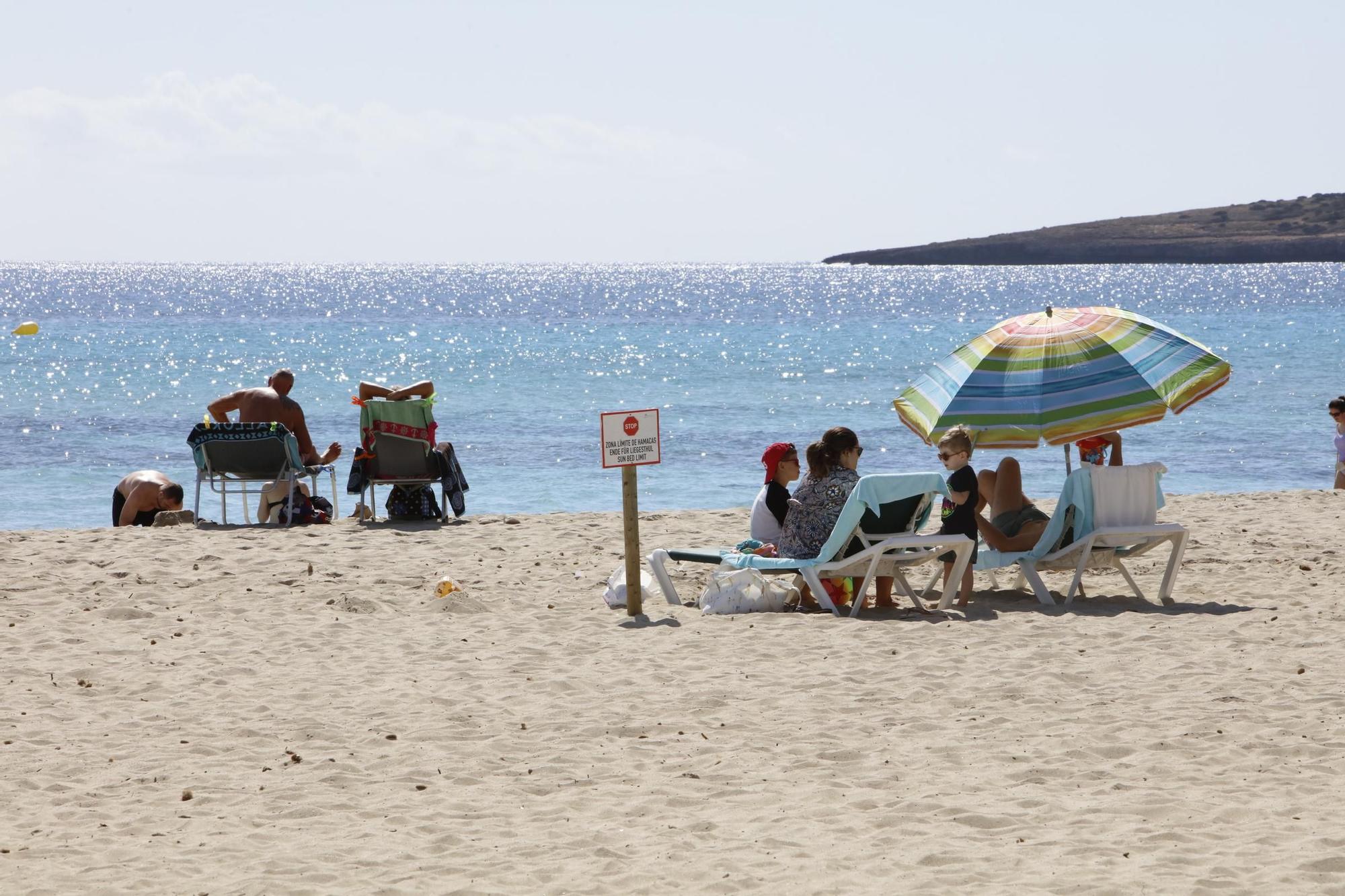 Frühlingsgefühle auf Mallorca – so sieht es gerade in Cala Millor aus