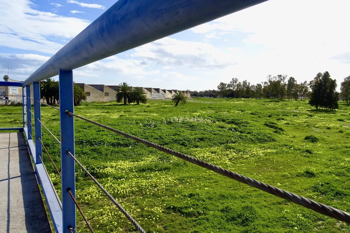 Parcela de la Azucarera, en Málaga, en la que el empresario Tomás Olivo quiere impulsar un centro comercial,