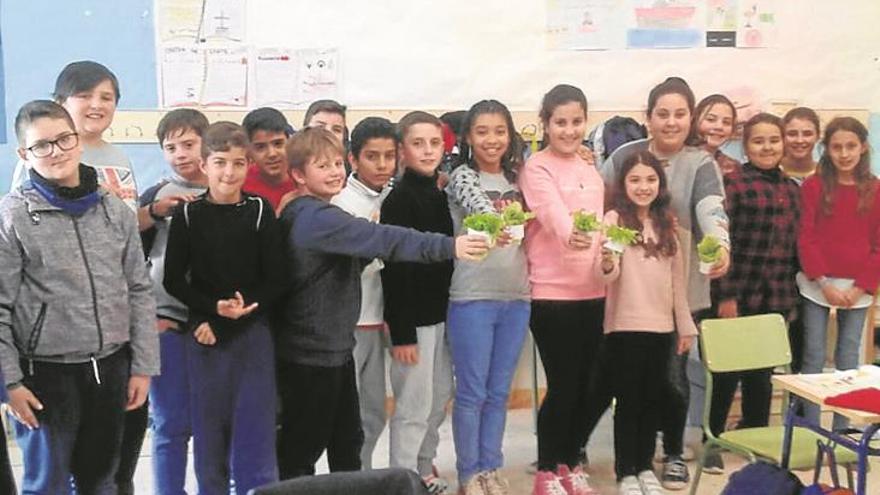 Verdures pròpies en el CEIP Cervantes de Nules