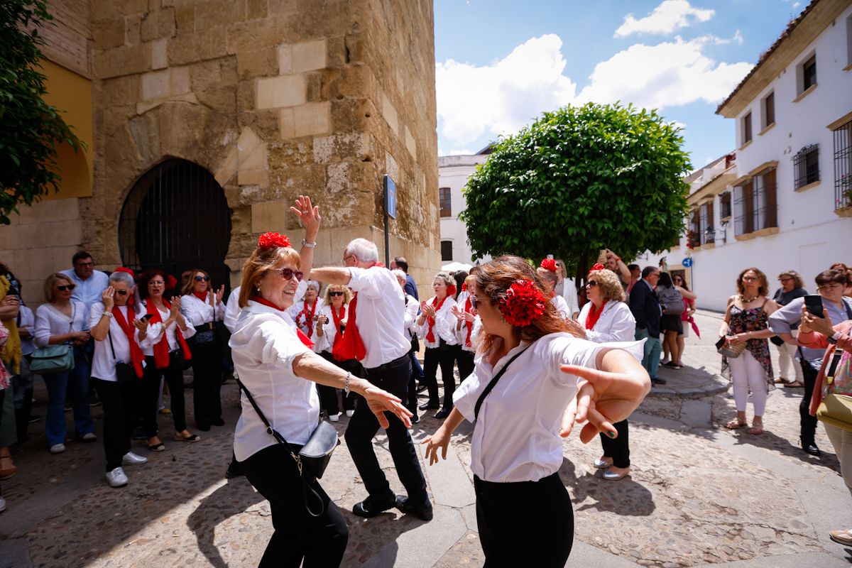 Así lucen los patios más visitados de la fiesta