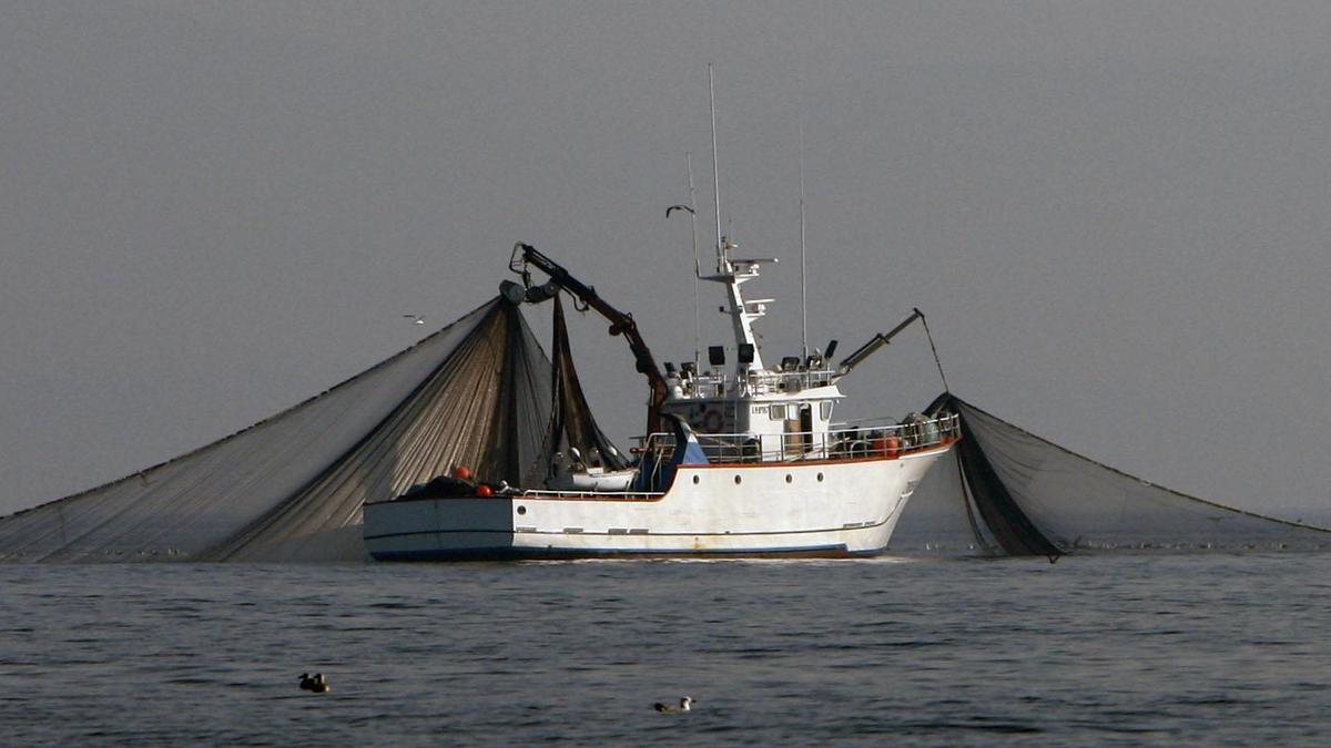 La pesca de arrastre afecta más a las áreas protegidas