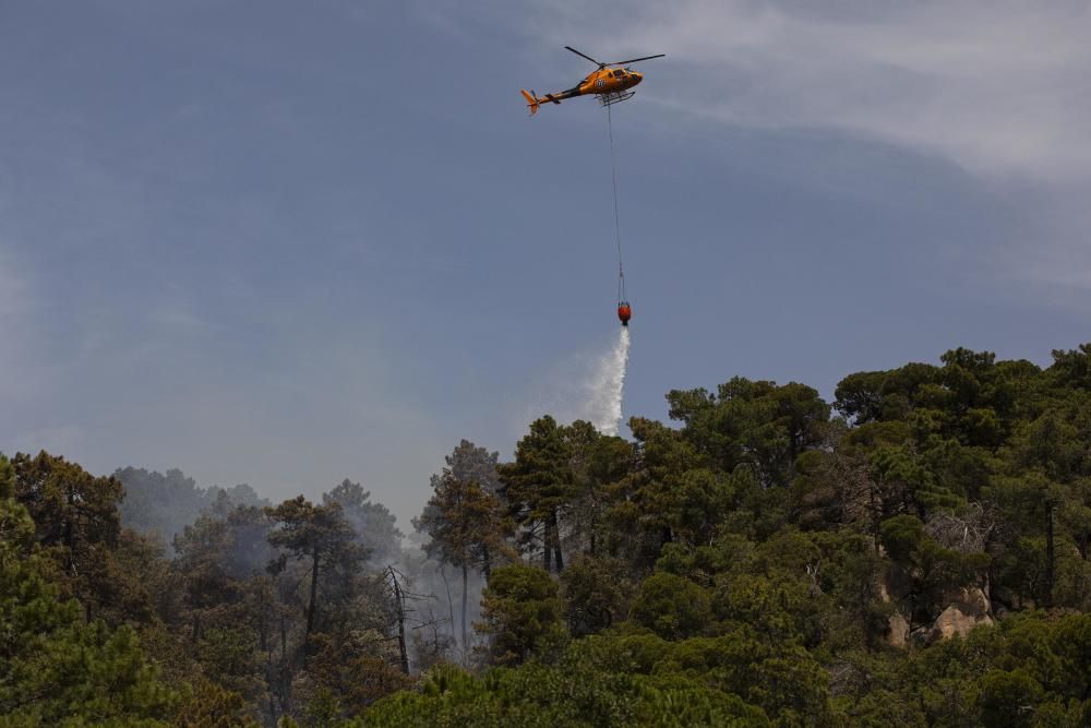 Incendi forestal en una urbanització de Lloret