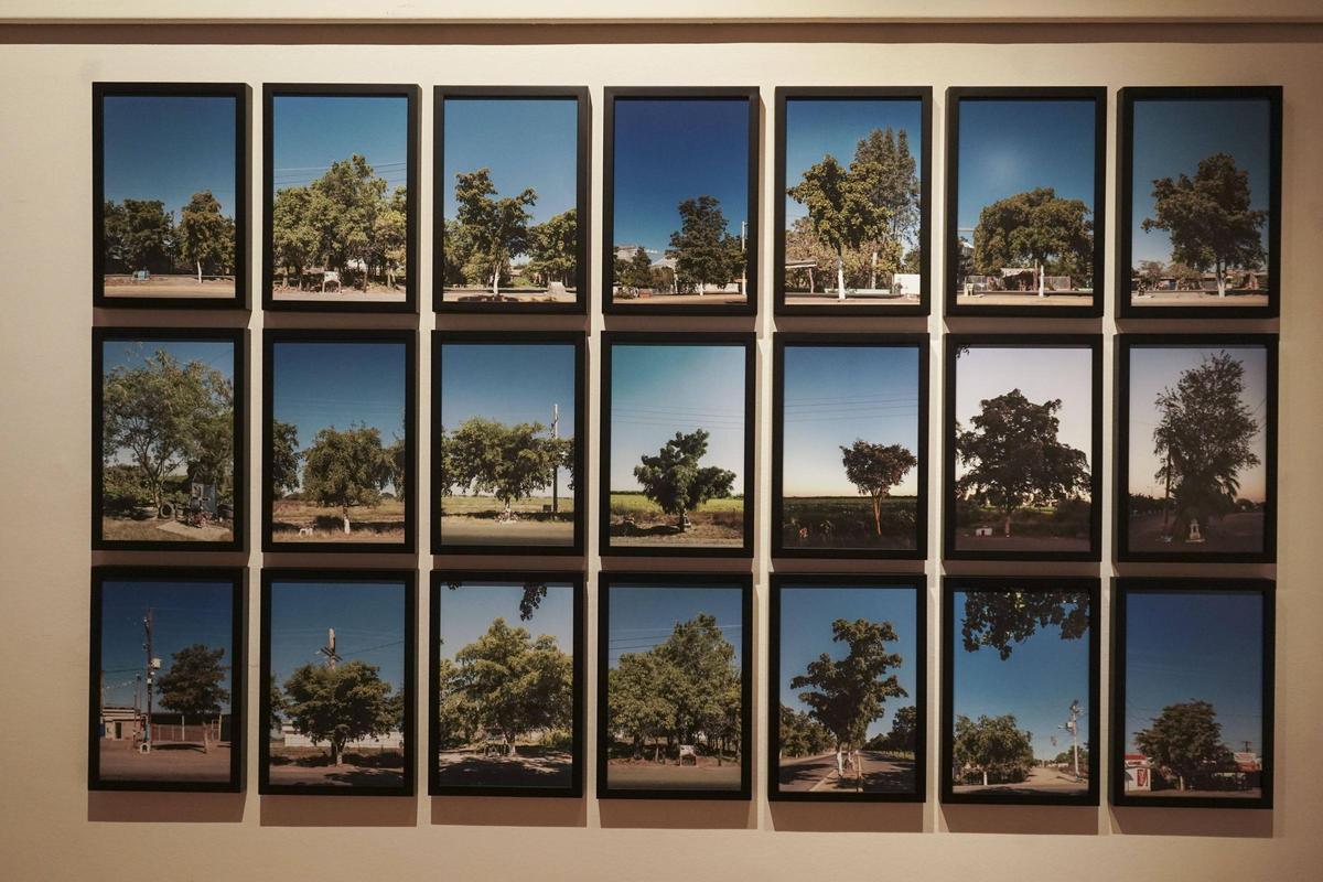 Conjunt fotogràfic "40 km", l'obra de Teresa Margolles present a la mostra