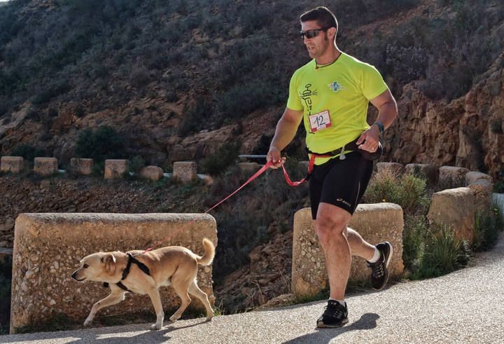 «Running» solidario con perros por l'Alfàs del Pi