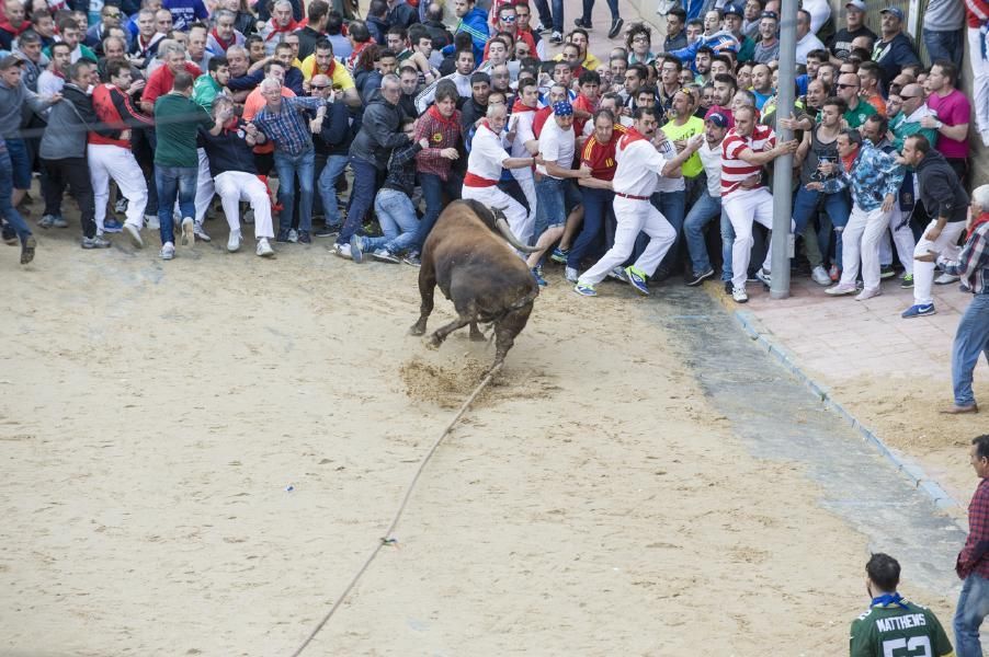 Enmaromado 2016: Lechugazo da la talla