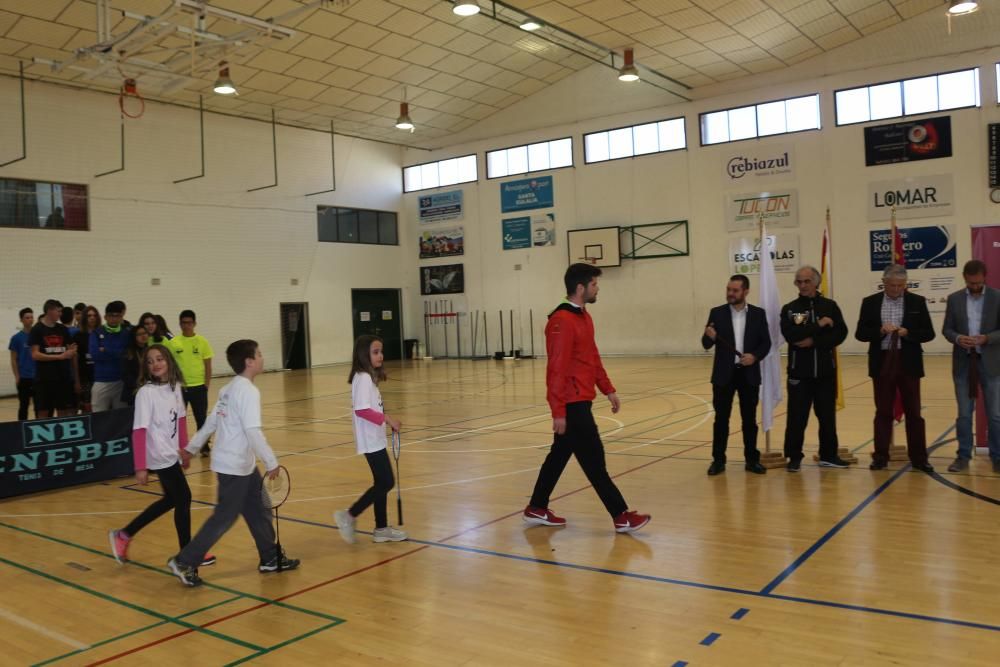 Final Regional de bádminton de Deporte Escolar