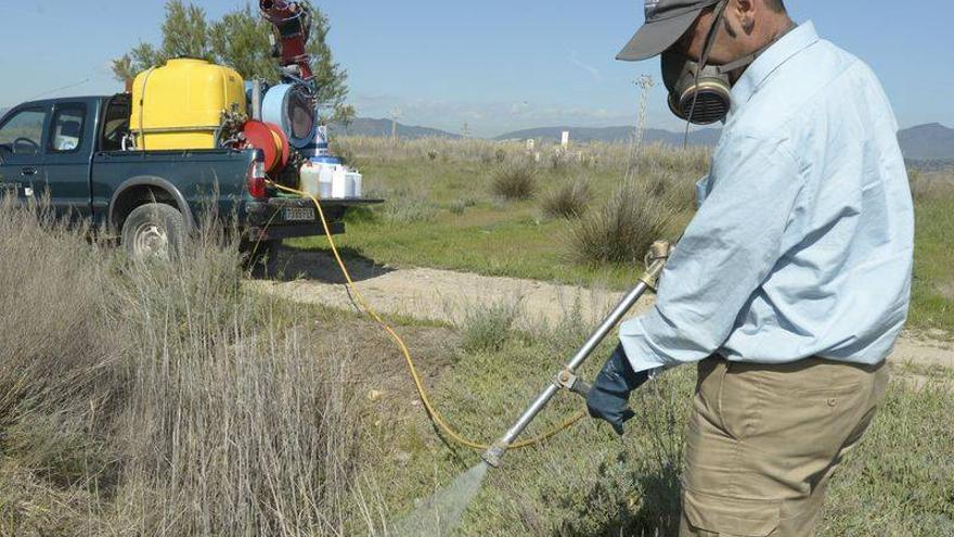 La plaga de mosquitos desborda a los consistorios a las puertas del verano