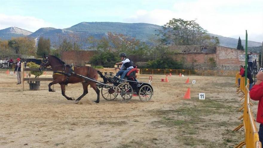 Berral gana la Copa de Andalucía de enganches