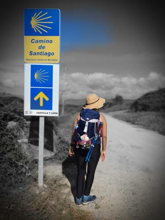 Ganadores del concurso sobre el Camino de Santiago