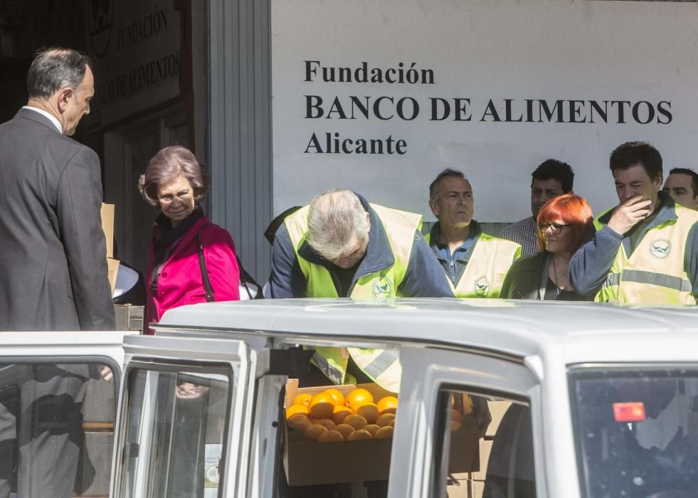 La Reina Sofía visita el Banco de Alimentos de Alicante