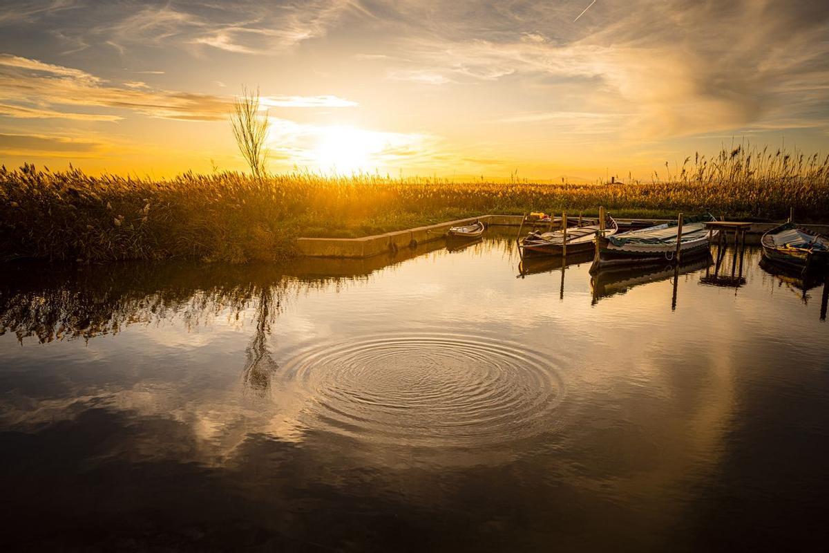 Atardecer en la Albufera de Valencia