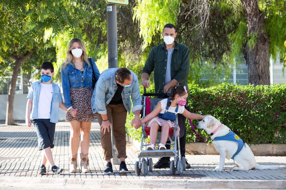 Proyecto Juntos financia, a través de una donación, la compra de una perra de asistencia para una niña con parálisis cerebral