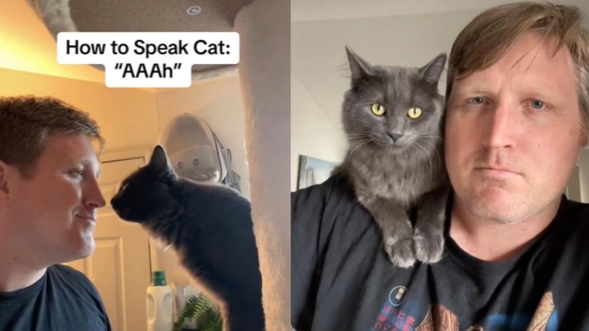 El tiktoker Alec Newman, con su gato, en vídeos compartidos en sus redes sociales.